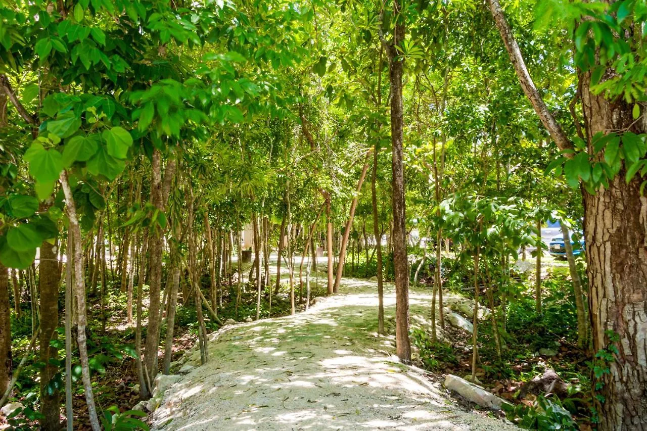 Hostpal Selvanova Playa Del Carmen Daire